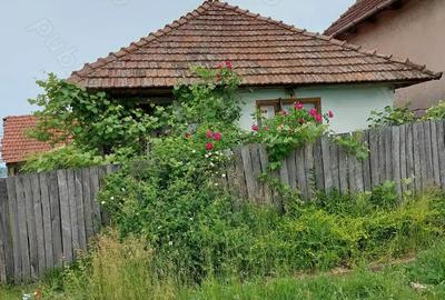 Vand case ?i terenuri la tara - 2