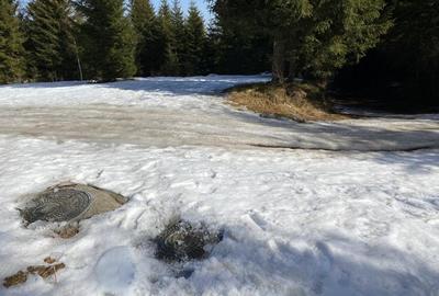 Teren Construcții intravilan de 5000 mp, în Băișoara - 2