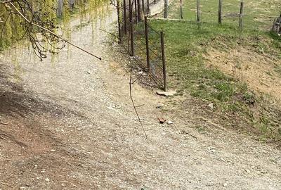 Teren de 22000 mp, în Corbi - 2