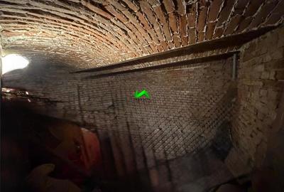 Casa de vanzare 3 camere Sibiu Terezian - 10