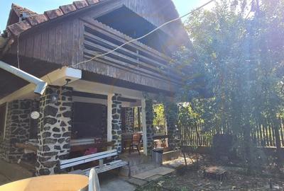 De Vanzare Casa si Cabana 74 ari Viille Satu Mare - 3