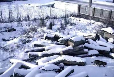 Casă cu 3 camere cu Teren 40000 Mp în Recea-Cristur - 1