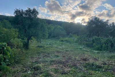 Casă cu 2 camere în Moldovenești - 4