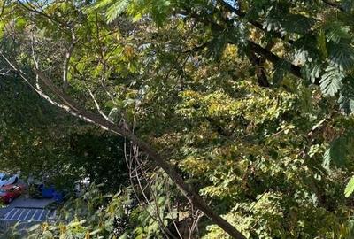 Giurgiu  ocazie- Aleea Alexandriei  ap 3 cam circular 4/4, - 20