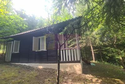Vila de vanzare in Campina - Zona Lunca Mare - 35