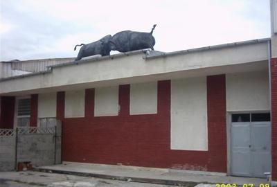 Teren Construcții intravilan de 14000 mp, în Sud-Est - 2