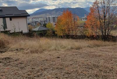 Spațiu comercial, în Calea Romanului - 3