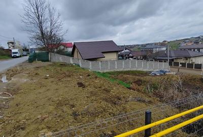 Spațiu comercial, în Vișan - 5