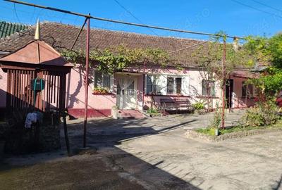 Casă cu 1 camere cu Teren 1390 Mp în Tinca - 4