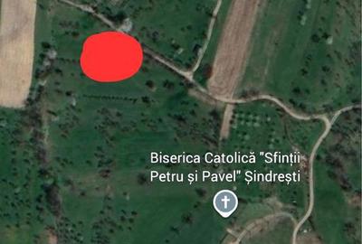 Spațiu comercial, în Șindrești - 6