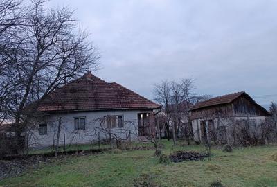 Vand casa 125mp cu teren 712mp in Lapusel - 7