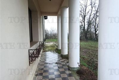 Casă cu 4 camere cu Teren 44100 Mp în Petrăchioaia - 11
