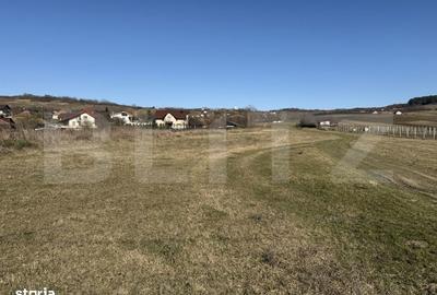 Teren de 5800 mp, în Hereclean - 6