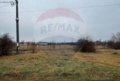 Teren Intravilan 9866 mp. Dublu front stradal. - 7