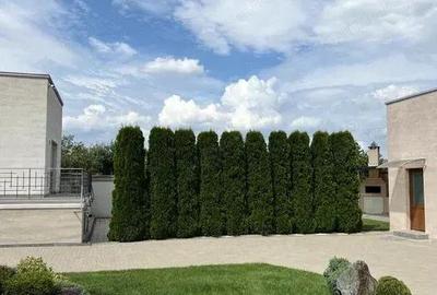 Casa de Lux zona Selimbar Casa de Lux zona Selimbar - 3