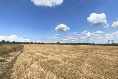 Teren de 7100 mp, în Păulești - 2