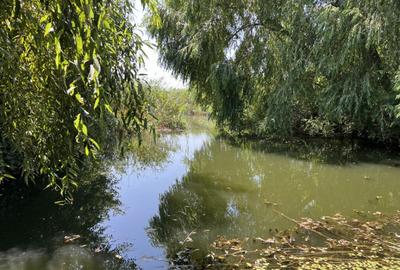 Teren de 2537 mp, în Siliștea Snagovului