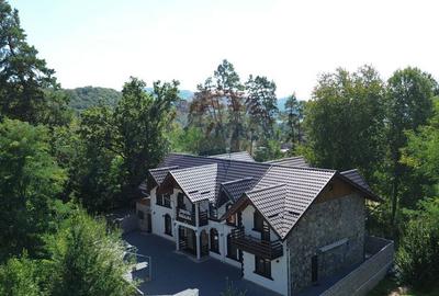 Pensiune de vanzare in Sovata Conacul Cosalina - 2