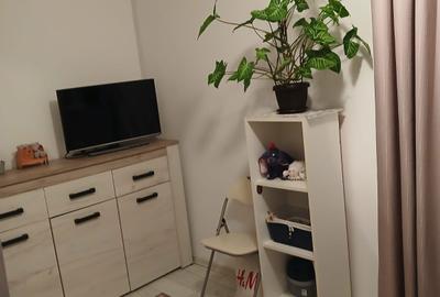 Apartament cu 2 camere semidecomandat în Craiovița Nouă - 3