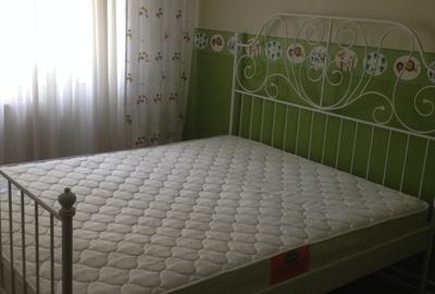Apartament cu 3 camere decomandat în Gorjului - 3