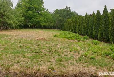 Casă cu 5 camere în Gârdani - 9