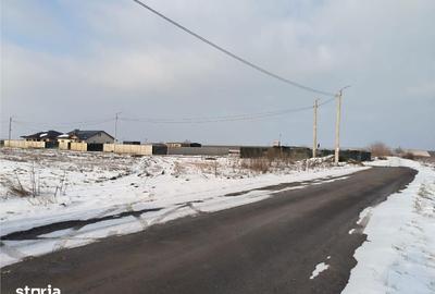 Teren de 5000 mp, în Dărăști-Ilfov - 1
