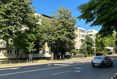 Garsonieră în Dacia - 11