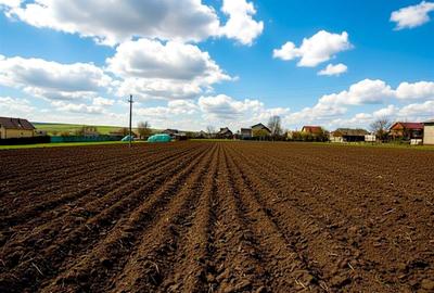 Teren Construcții intravilan de 991 mp, în Moara Carp - 4