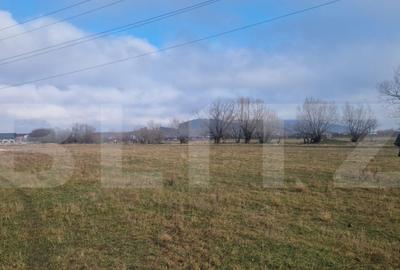 Teren de 500 mp, în Sânpetru