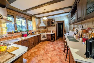 Izbiceni-Coralilor-Damaroaia,eleganta si robusta,cu garaj,curte intima,vegetatie - 16