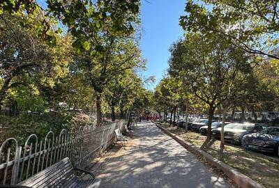 REA1026062 Apartament 3 camere I Metrou Dristor I Renovat I De vanzare REA1026062 Apartament 3 camere I Metrou Dristor I Renovat I De vanzare - 10