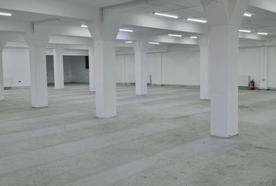 Spațiu comercial, de 600 mp, în Bascov - 2