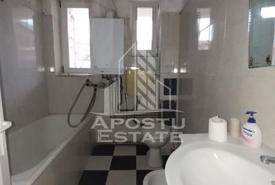 Casa individuala + garaj si anexa, oportunitate investitie, Sagului! - 22