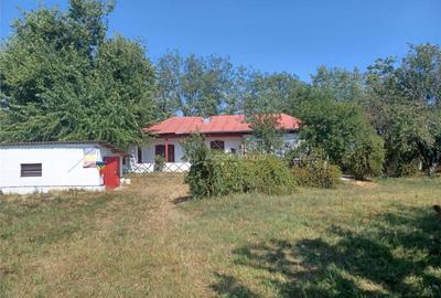 Casa Giurgiu- Ghimpati Sat Bila - 17