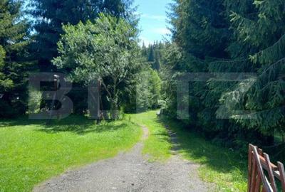 Casă cu 8 camere cu Teren 6060 Mp în Poiana Stampei - 9