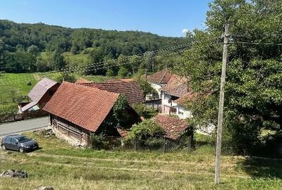Casă la țară jud Hunedoara - 4