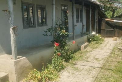 Satul Cornatel, comuna Urechesti, jud. Bacau, vand casa batraneasca
