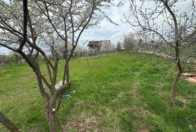 Teren de 1100 mp, în Bârnova - 1