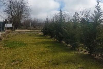 Spațiu comercial, în Poiana - 2