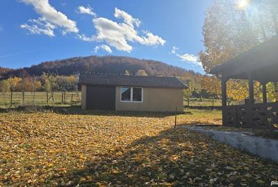 Vand casa in Dami? - 2