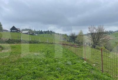 Casă cu 3 camere cu Teren 600 Mp în Central - 13