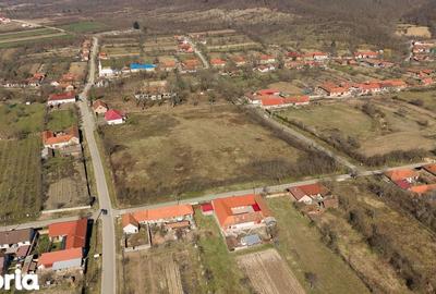 Casă cu 8 camere cu Teren 7235 Mp în Traian Vuia - 18