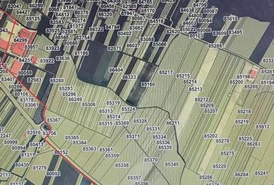 Vand teren curti-constructii, Cateasca, la drumul judetean, 65000 mp Vand teren curti-constructii, Cateasca, la drumul judetean, 65000 mp - 5