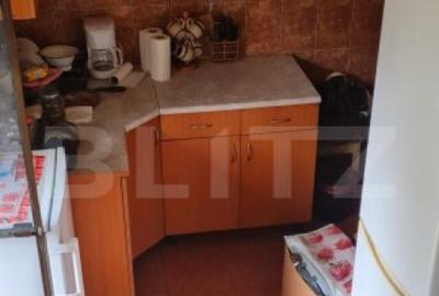 Oportunitate! Casa Bod pe un singur nivel, teren 980 mp pivn - 30