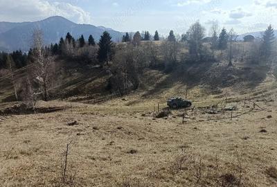 Teren de 3200 mp, în Dâmbovicioara - 6