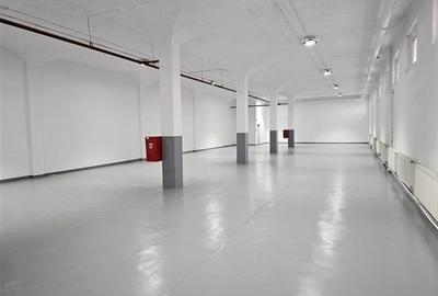 Spatii depozitare, productie, birouri, showroom-uri - de la 450 mp - 6