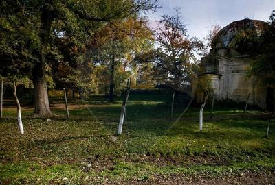 Domeniu Baronial de vanzare in localitatea CIL , Judet Arad - 1