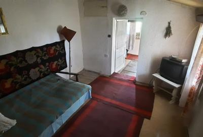 De vânzare fostă cramă 2000p teren, 224 mp construcție - 5