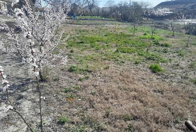 Teren de 1020 mp, în Becicherecu Mic - 1