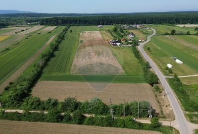 Teren Intravilan de Vanzare - Parcelabil - 3